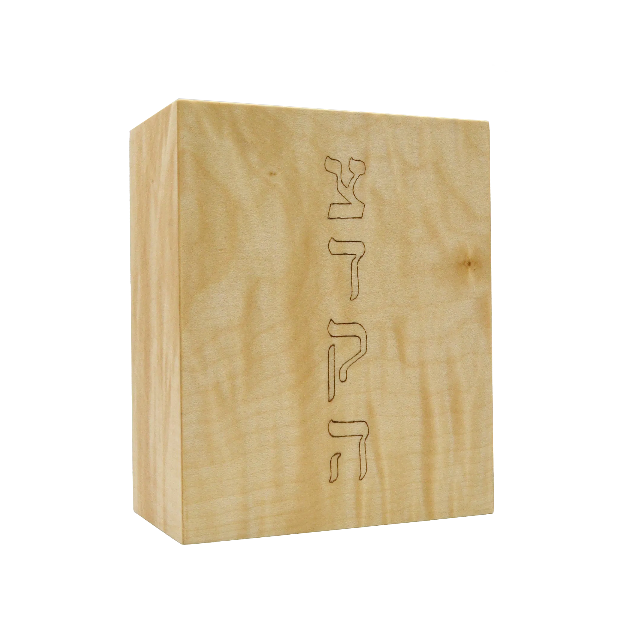TZ002 Tzedakah Box