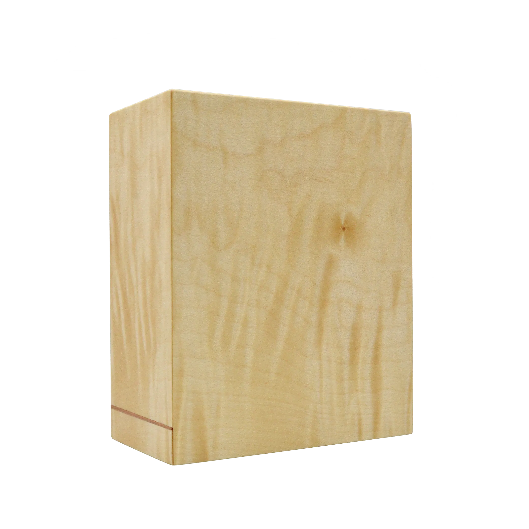 TZ002 Tzedakah Box